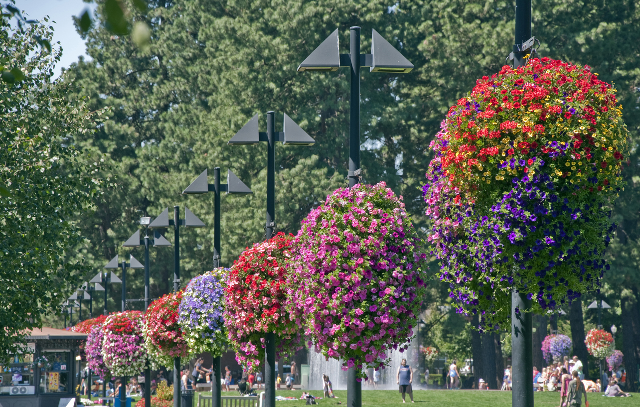 Panoramic Image of Beaverton, OR